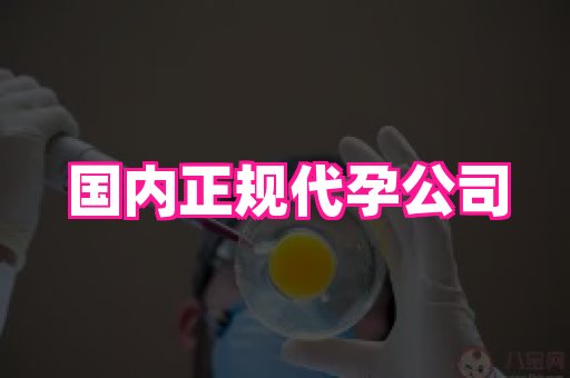 长沙助孕网 1